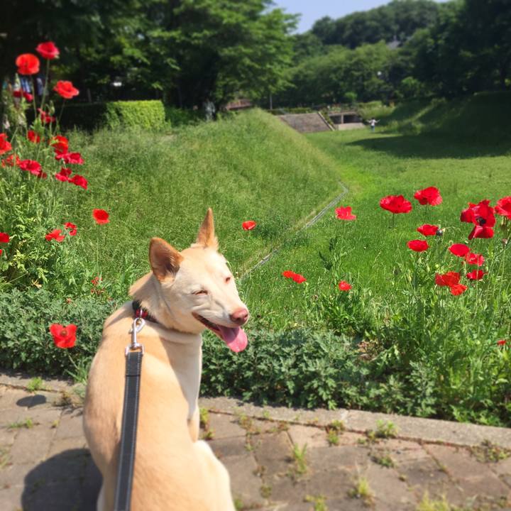 13c41e2c 7d37 4c98 b740 98de27874891