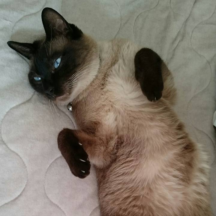 13c4ca14 1ddf 4154 98b5 be7b568952b5