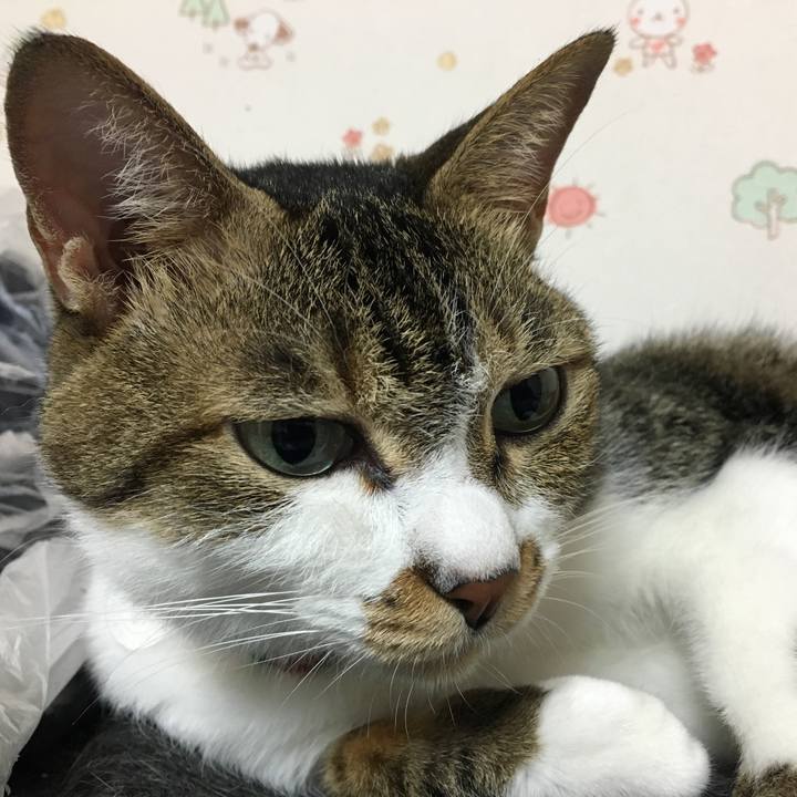 13c4d745 5c6b 479b 8881 9d9e616429d6