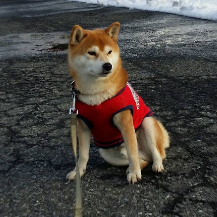 13c53fef d92f 413d b3d9 48a4e40e85bb