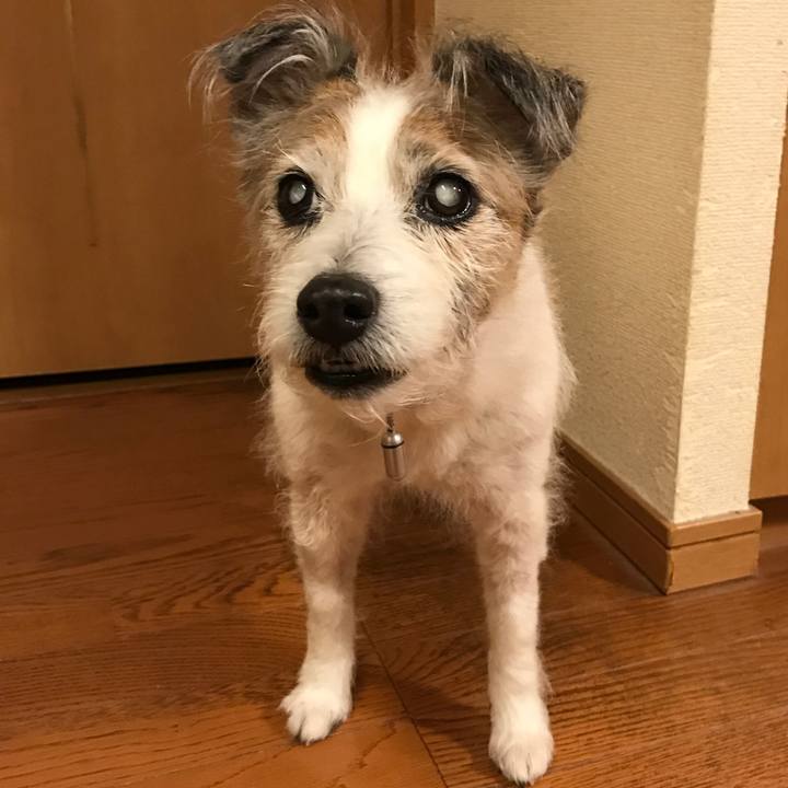 13c5ce5a 241d 4943 b47b 351b34a04fde