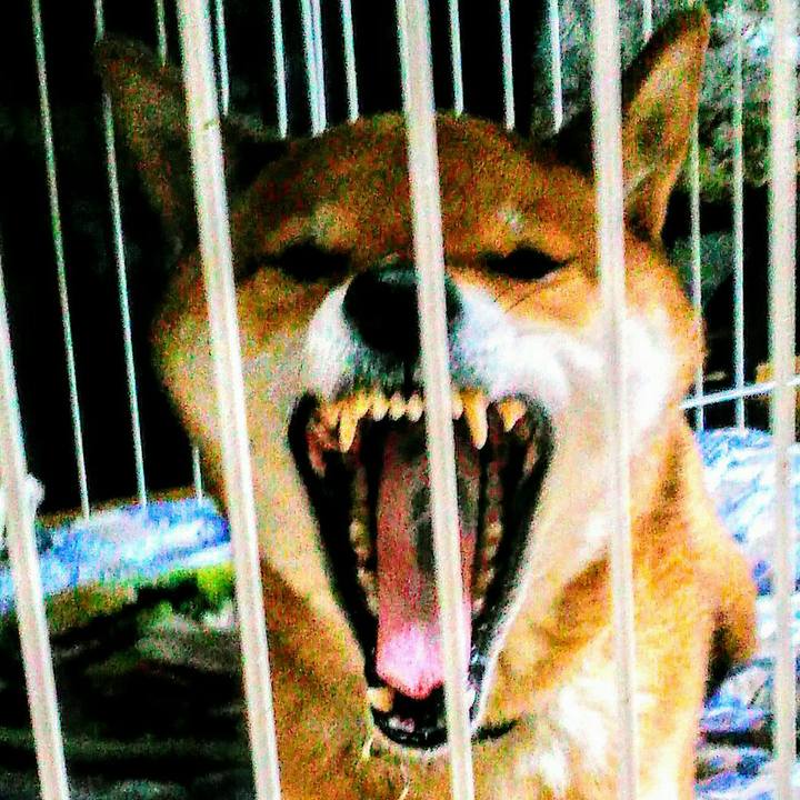 13c5e392 3dcd 4118 960f 0d6350cb14da