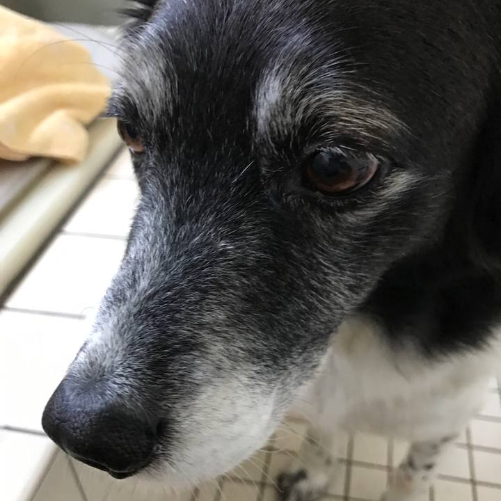 13ca455d f45f 49d4 a3d6 72c8131efecc