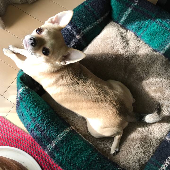 13ca4e75 8314 45de b932 fdf227776e08