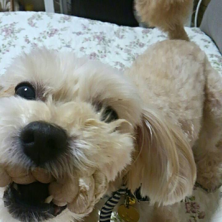 13cc2cc8 55e3 445a 9067 a03803183ed6