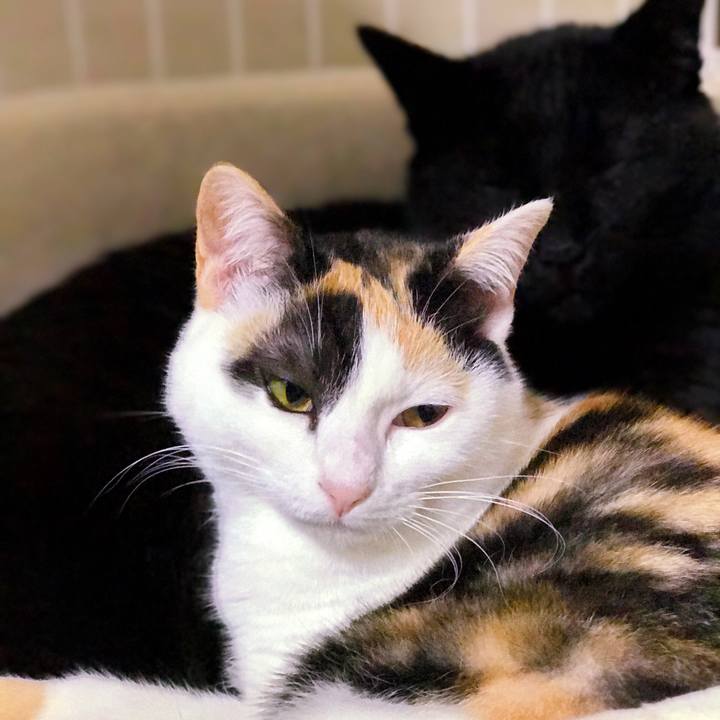 13cc6f4f 40c5 4a38 9b4f 870054d2c7ee