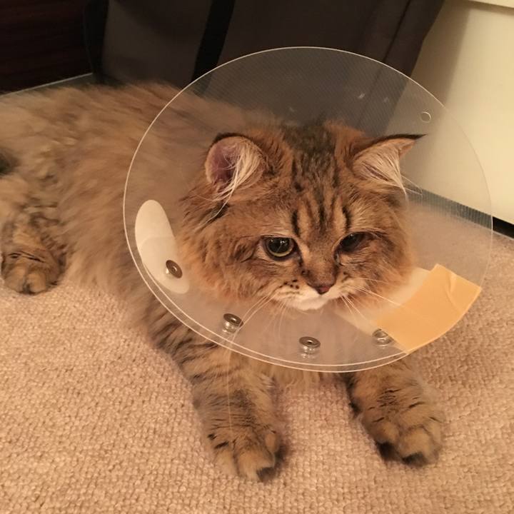 13cc7512 6436 4f15 932b 61d0f863d0ed