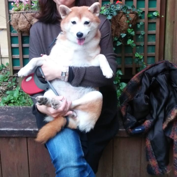 13cc894b a36b 44b1 a32c b4b643e14415