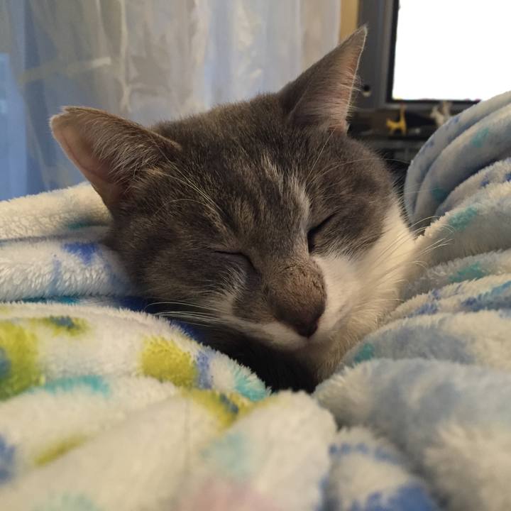 13cc8bec a578 4ed3 b6d5 91f56255e148