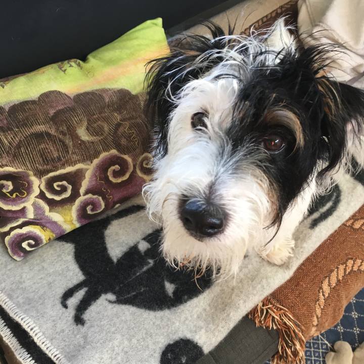 13cc96b9 6cb0 48d4 bd7d c79dc8c8404f