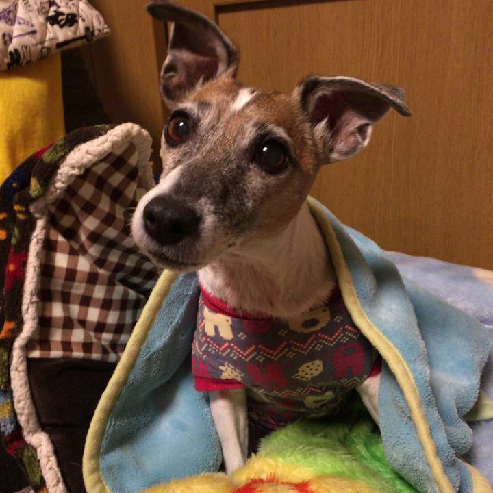 13cd7bfb 08b1 4925 ae1c 5e87fb6bd353