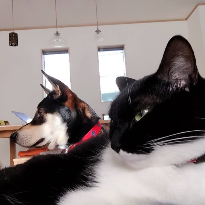 13cd873d fc4d 45b5 9cba aba1ac2df5a5