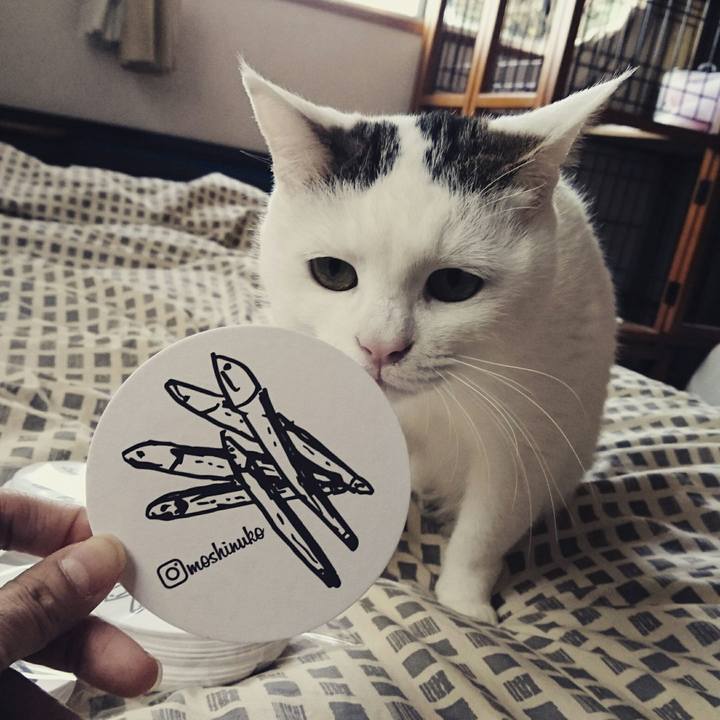 13cd8d5b 3f3e 442d 9962 b35ec0ed71f2