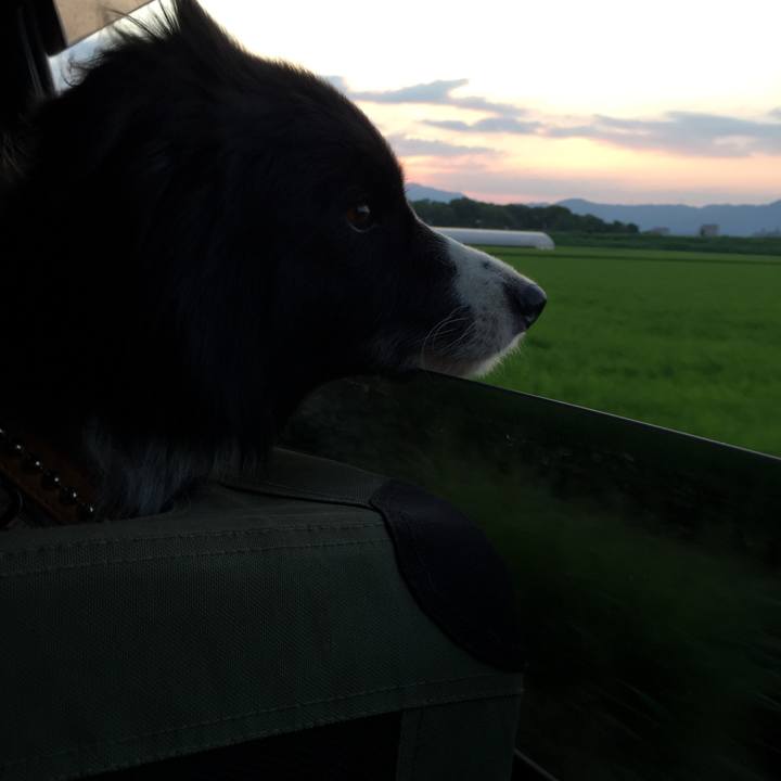 13cdb070 cb96 4ca7 bf33 9bad99c5119d