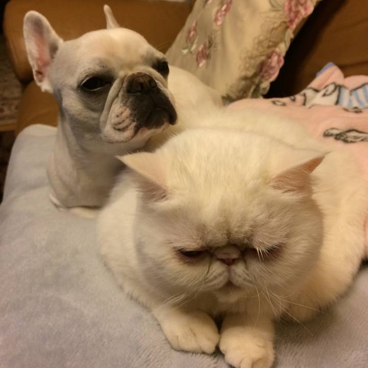 13cdcb7a f46d 44ab 94be 4a0f49f53bf0