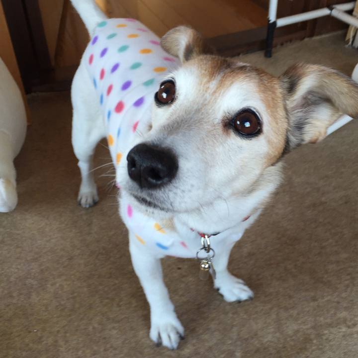 13ce3180 5520 478b 9e7d d8cd25423791