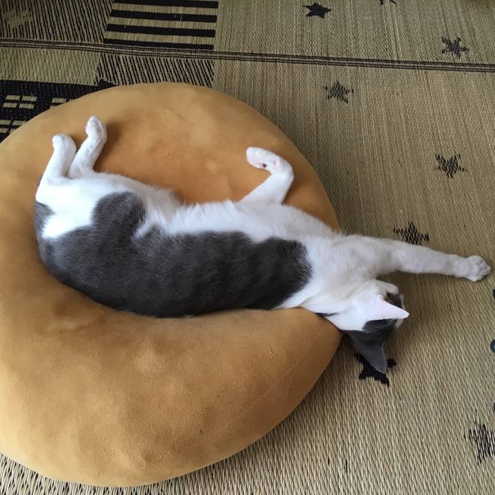 13ce718f 3e85 4e03 89dd 0e0cbb922f8d