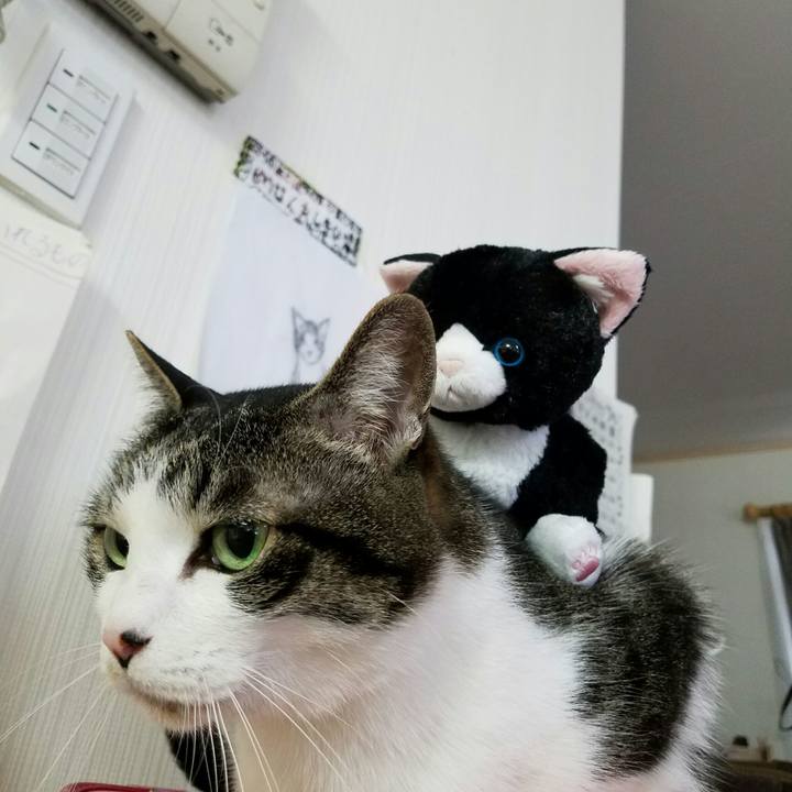 13ce998d afed 412c ad61 325e0316ea91