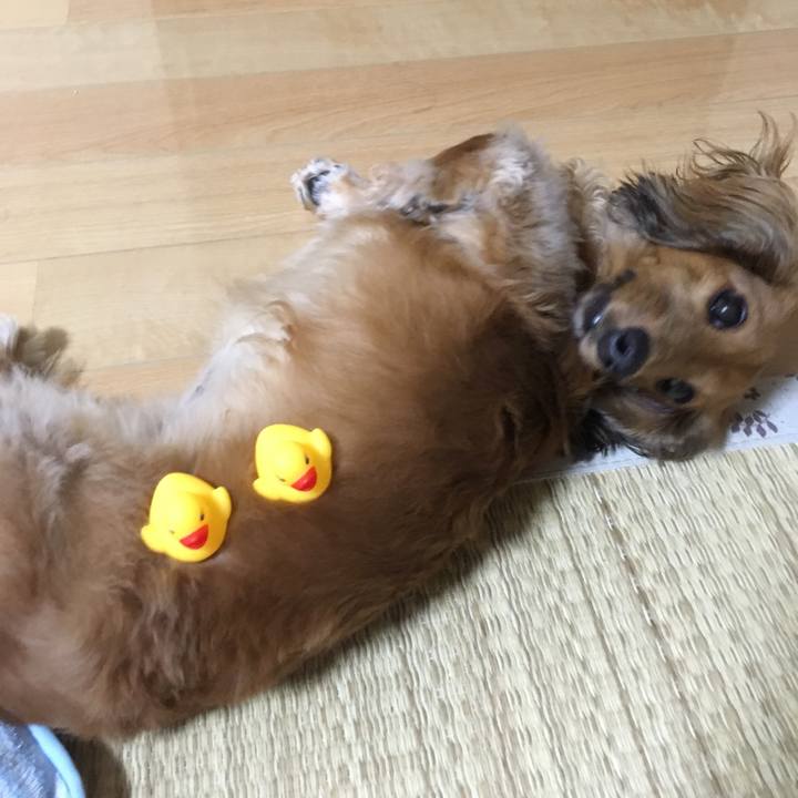 13ced860 3686 4208 89f7 ccc907874771