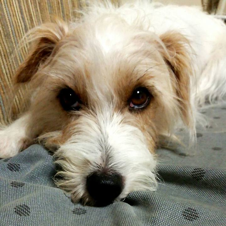 13cf492d 94a0 4497 9acc f63eb1437005