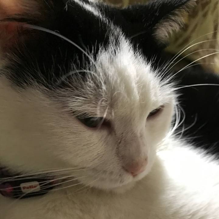 13cfea8c 8152 4ecd 84bc 516e7bd7202a