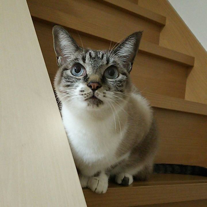 13d018c7 7756 4481 9792 326a7952bbf7