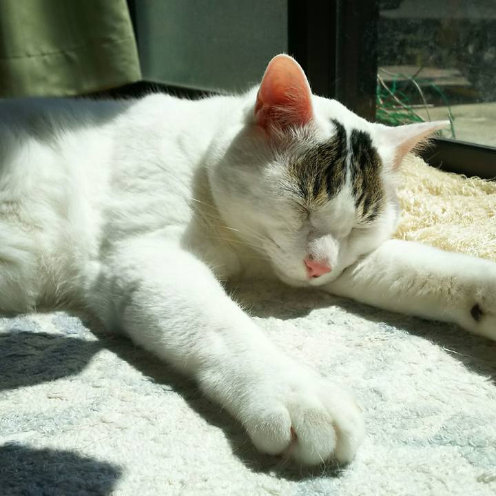 13d044c8 5810 44df bf43 b212b4cc19f7