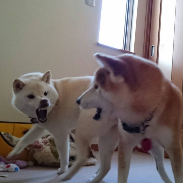 13d045e9 e536 413c 82b4 7c85879d7dec