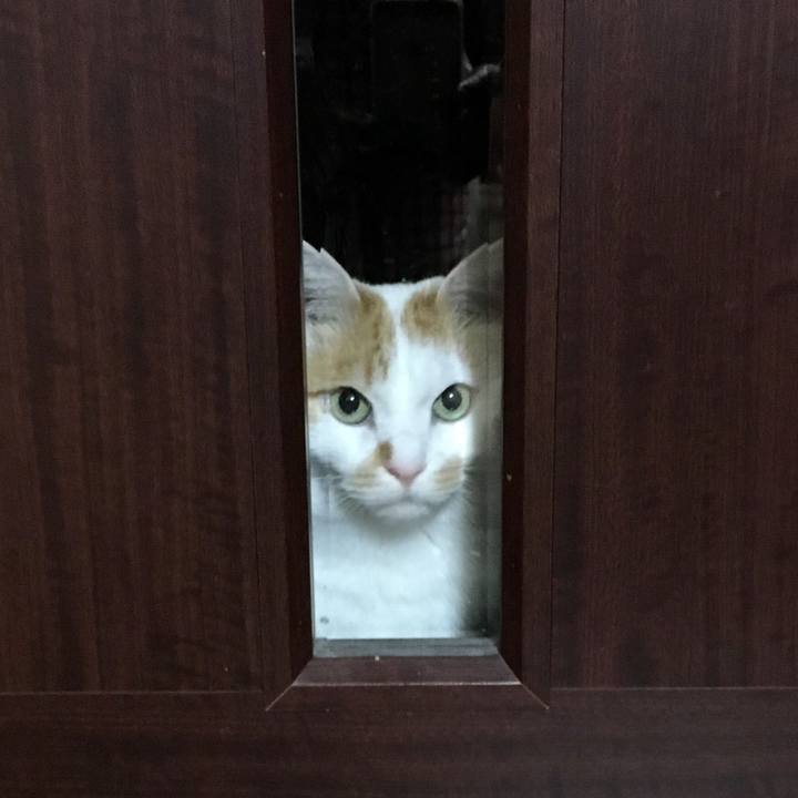 13d0b875 865b 418d aa97 ebc5c0e98181