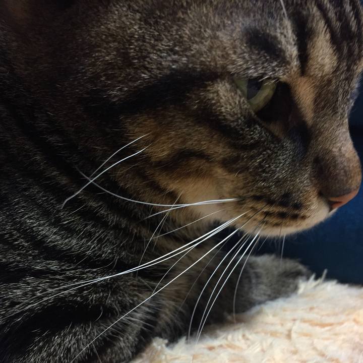 13d0bf35 ce61 4e66 acc9 e1674e9deb4f