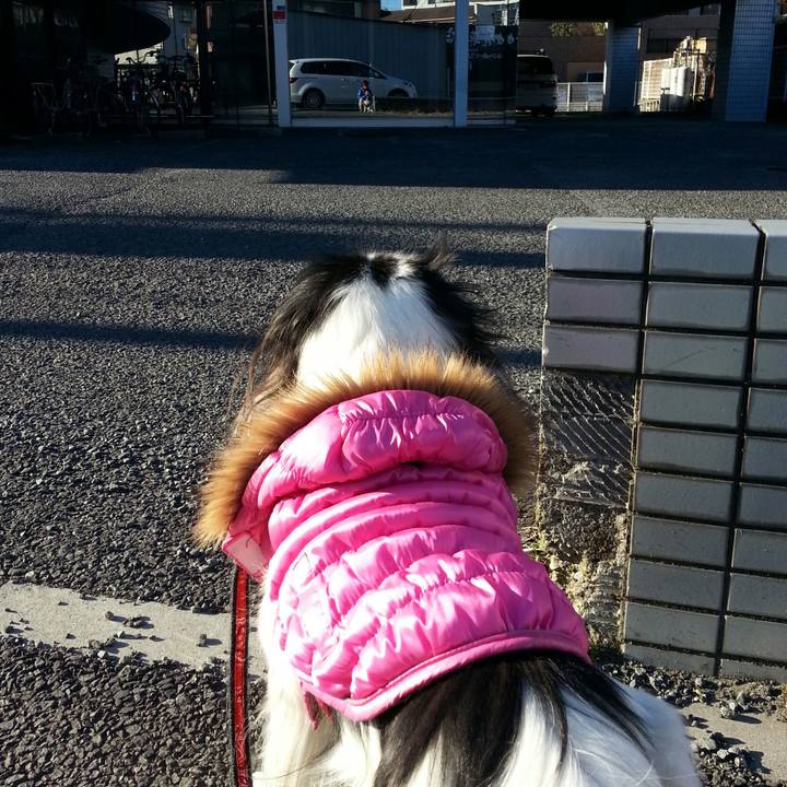 13d0c559 009c 4e8f b401 63920195f6ed