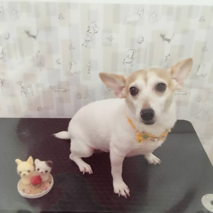 13d1b2f8 fd25 4137 85d2 b529fe48cbf8