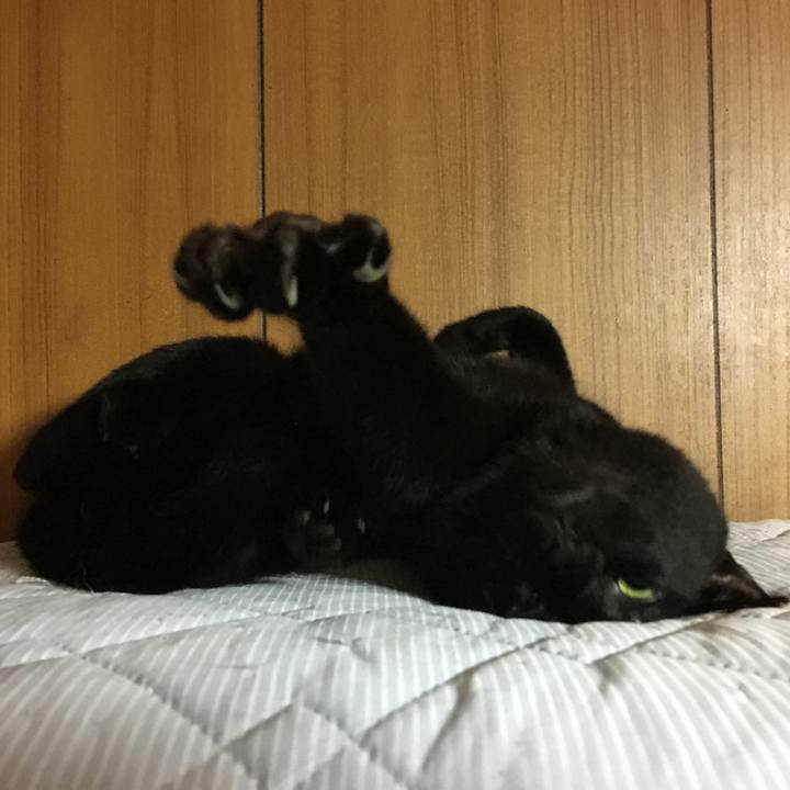 13d1f3fb 5346 4e0c 83ca e4f939a39ffe