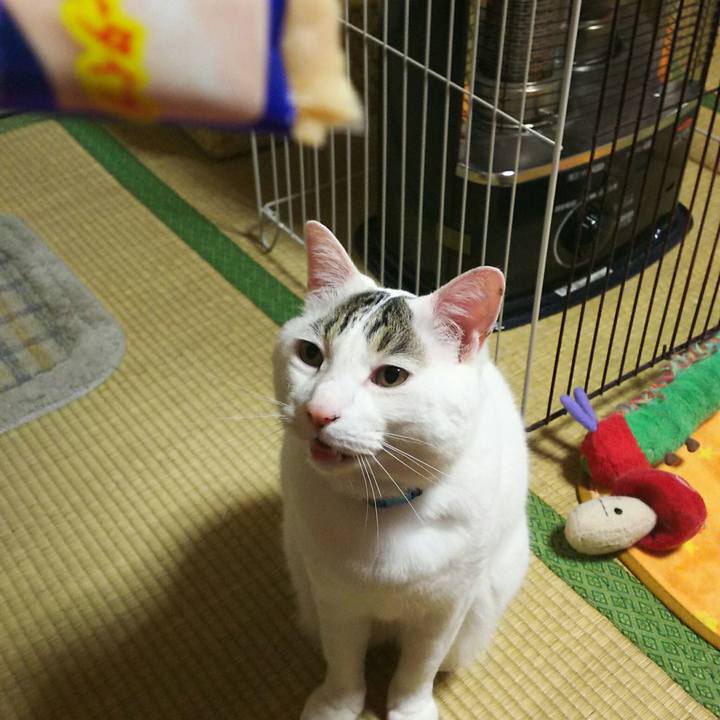 13d2c520 3d9b 4ffe a7e9 20532bd1e0e7