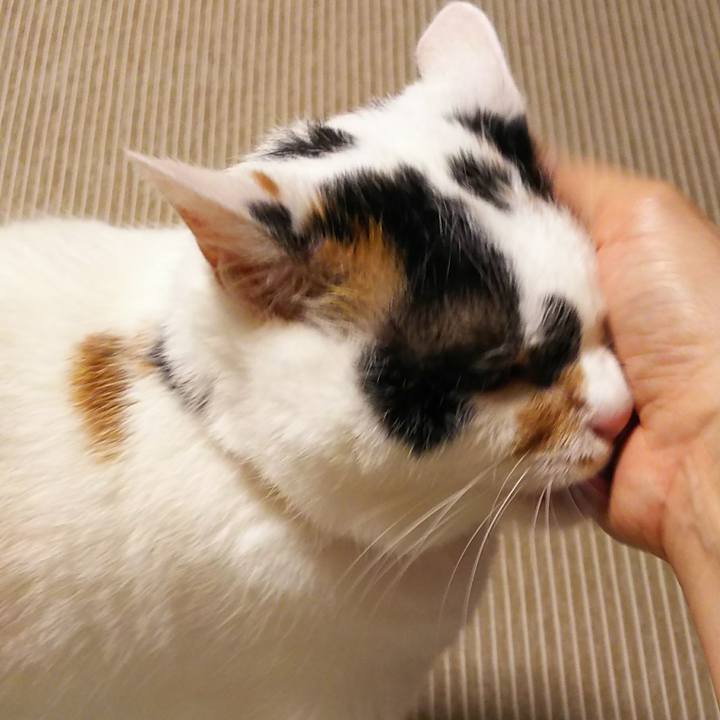 13d328b0 262c 494e b032 015a597e6bf8