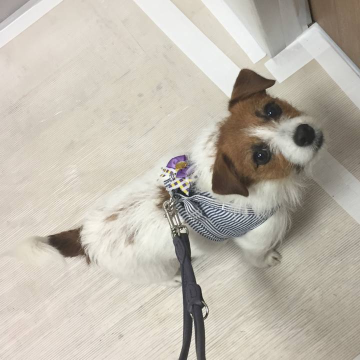 13d33610 75db 46a2 9e9a 2a5c07632aad