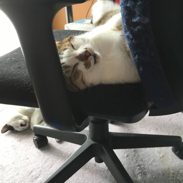 13d38cdc 3173 4c98 9444 671e62d5e040