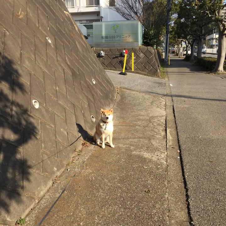 13d3caa3 73bb 4117 9397 95fd0d3d82fa