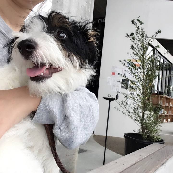 13d3d798 0251 4e99 97da 1ece8bdee949