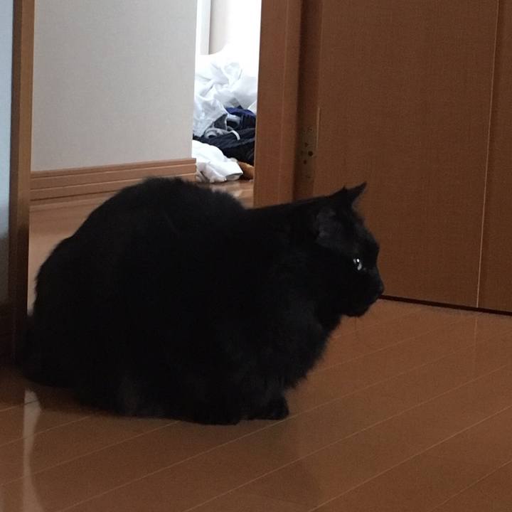 13d463b6 0572 4c80 80cd 73a59a0653e8