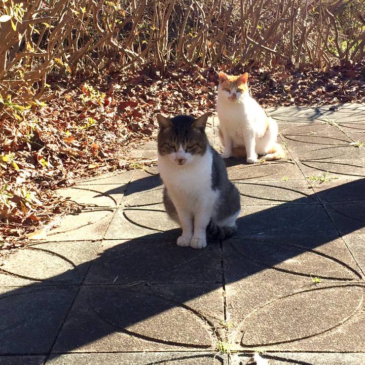 13d4865d 83fa 4979 8a01 ec11d8e157b4