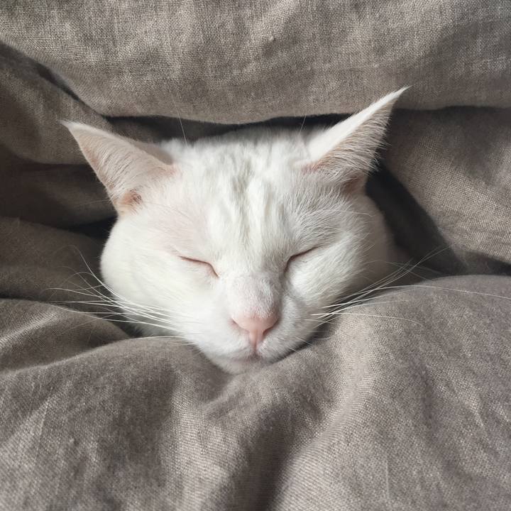 13d4f875 8367 410c 87bf 2fc4ad3a8fd7