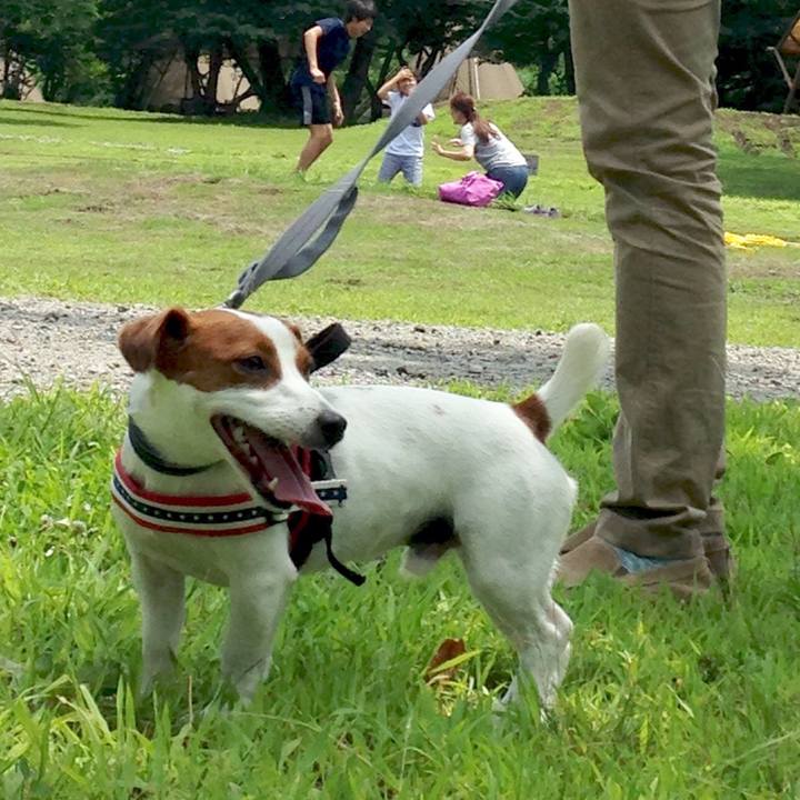 13d4fb99 31af 4b2b 8ac3 3f0829727477