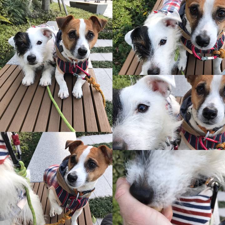 13d4ff45 9c0f 4013 8fb6 e5db518a976d