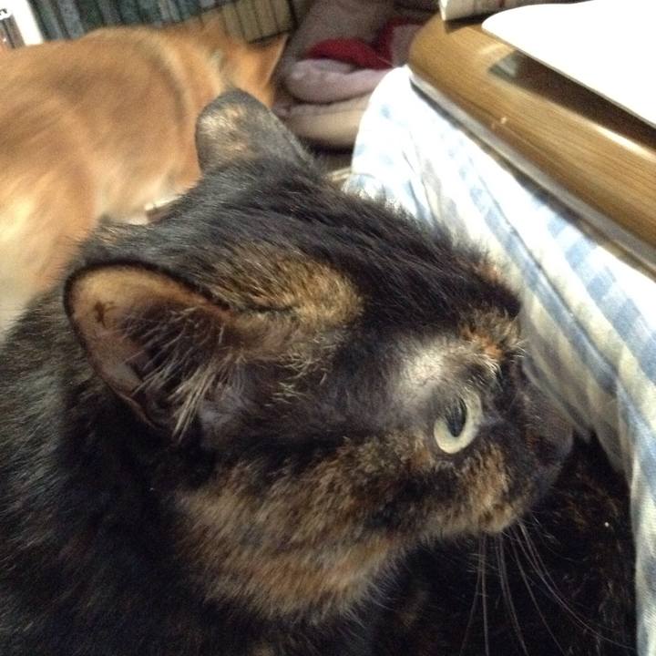 13d50792 6089 417b 84f7 5af5c2e187b4