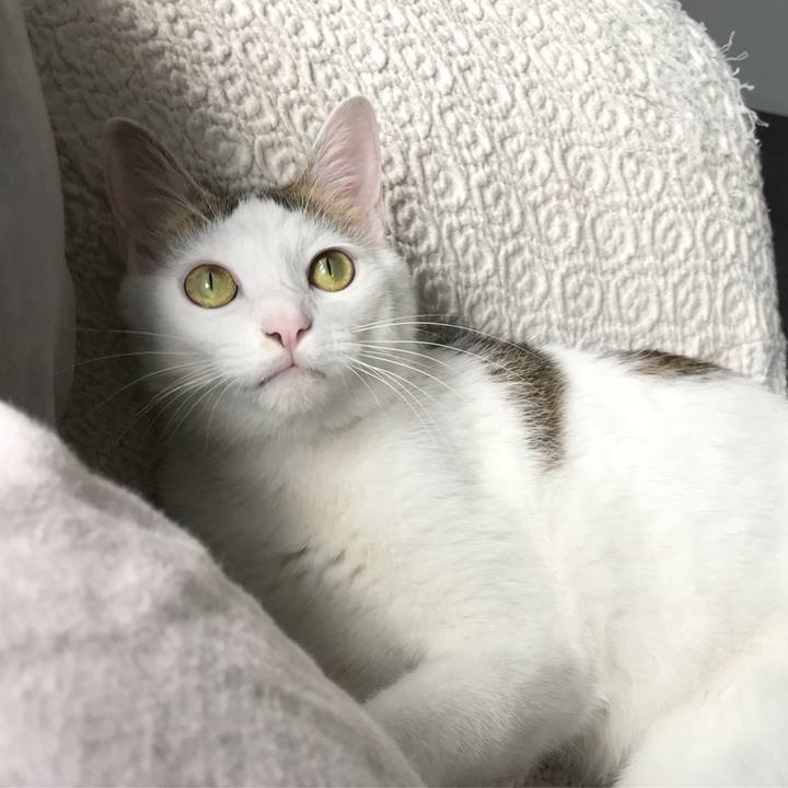 13d5ae59 4489 4470 8705 90559d664651