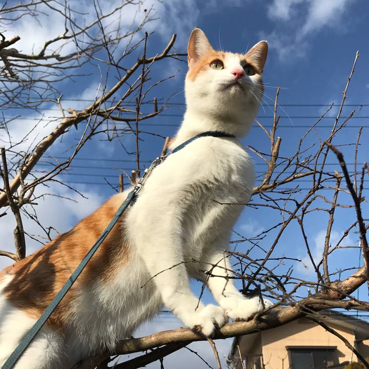 13d5c1f2 889d 4c80 80b5 0d153674a145