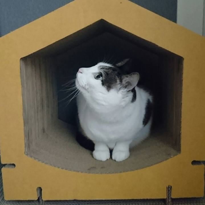 13d5c4b0 8750 4970 90d6 8484c6b0f242