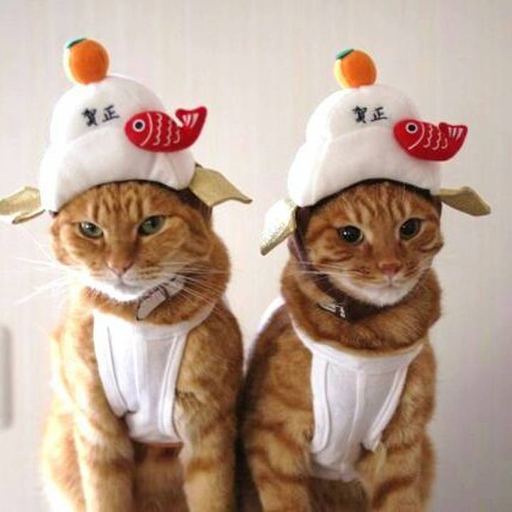 13d5d4d3 21b6 414b 8688 5b3abd5ffa07