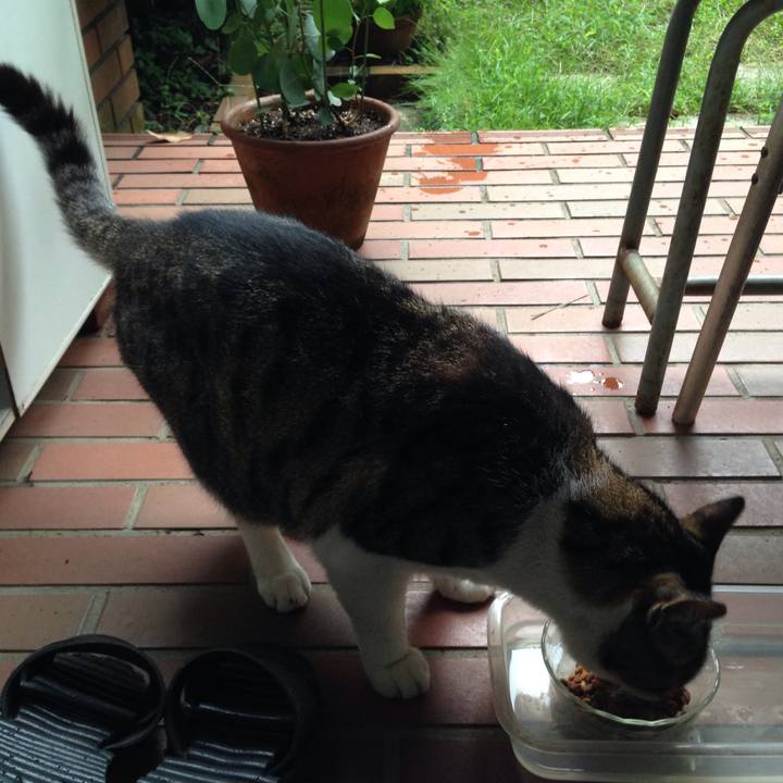 13d66889 e0ff 4ea5 ac9c 4465bd3fa5c8